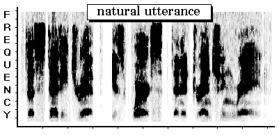 Spectrogram of a natural utterance "The steady drip is worse than a drenching rain."